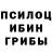 Псилоцибиновые грибы Psilocybine cubensis Brand AK