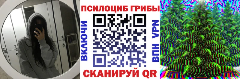 Псилоцибиновые грибы мицелий  Копейск 