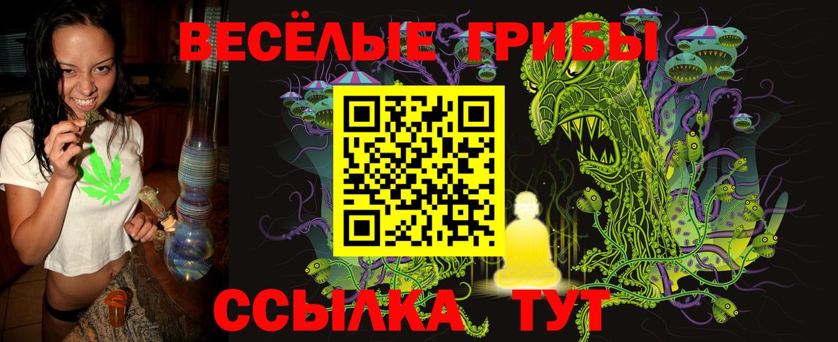 Псилоцибиновые грибы Magic Shrooms  Вход с VPN  Галлюциногенные грибы ЛСД  Копейск 