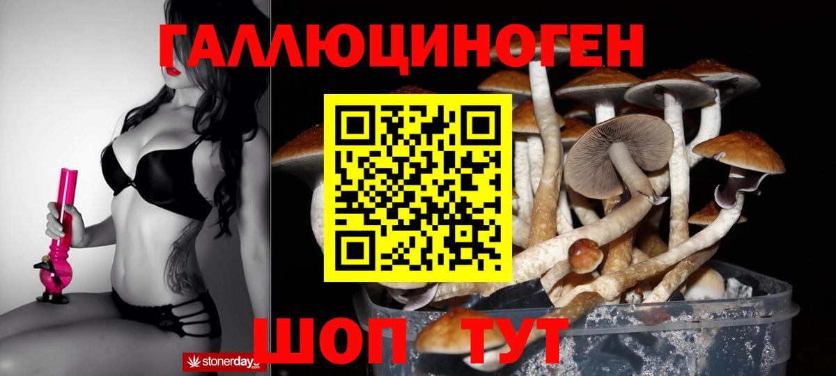 Галлюциногенные грибы Magic Shrooms Копейск